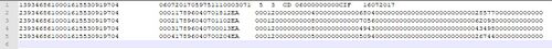 Neogrid FormatoTXT.jpg