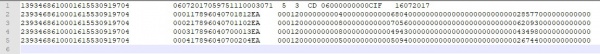 Neogrid FormatoTXT.jpg